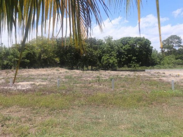 Lote-de-Terreno-en-Shore-Plantation-Tela2-op (1)