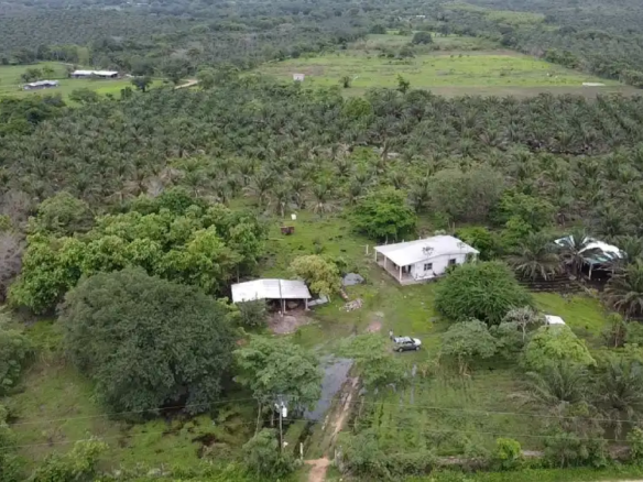 Toma area de la propiedad
