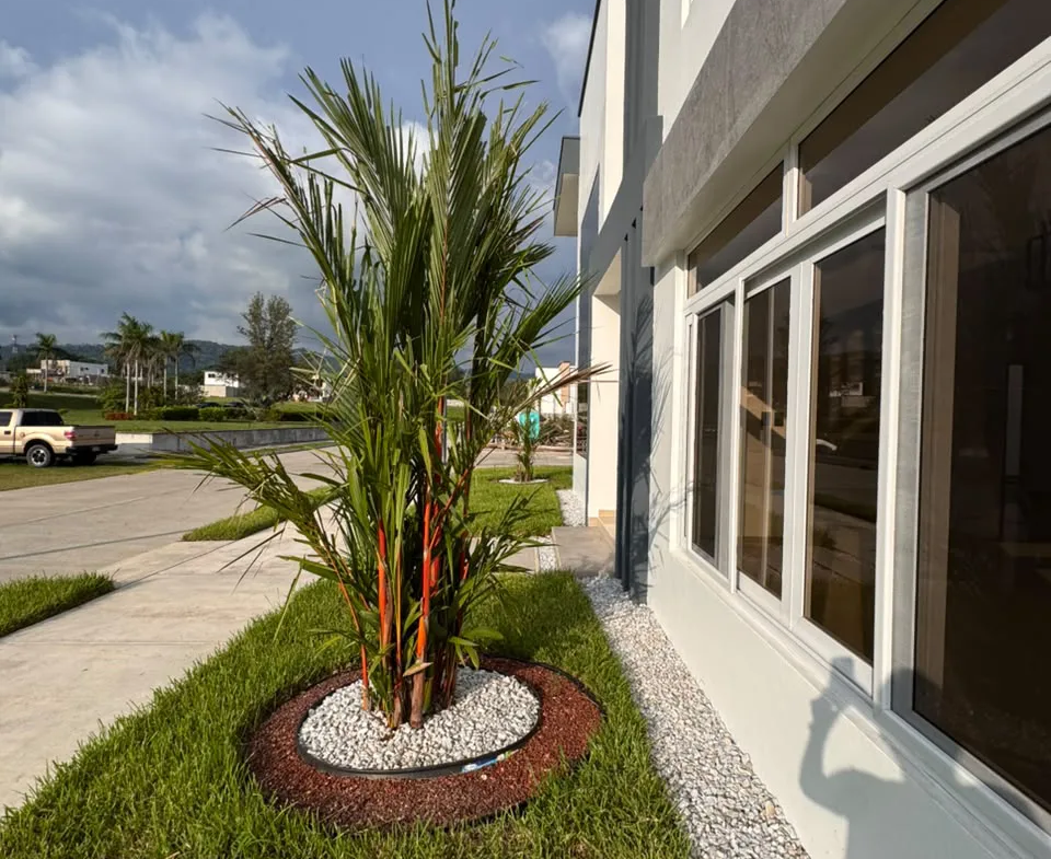 Casa con jardin en san pedro sula