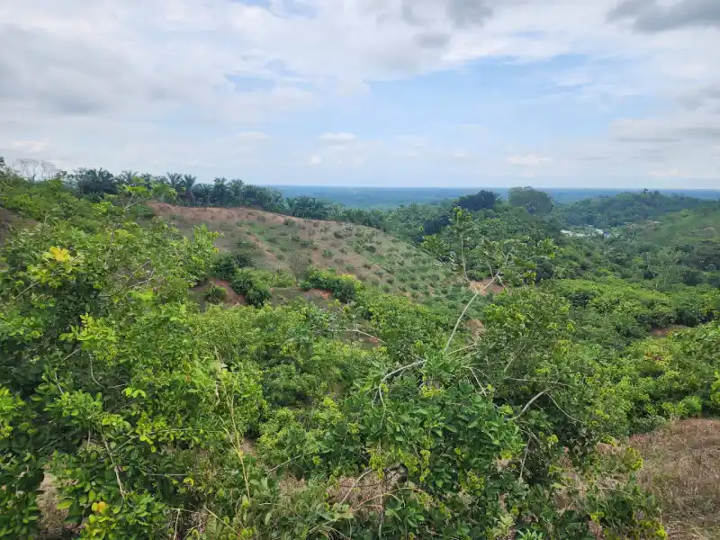 Comprar finca en La Masica Atlántida Honduras