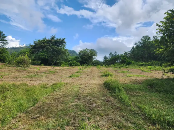 Finca Ganadera y Agrícola de 110 Manzanas en Venta en Santa Cruz de Yojoa