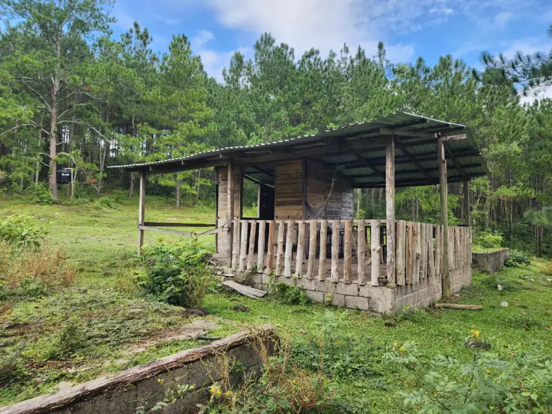 Finca de 110 manzanas en venta