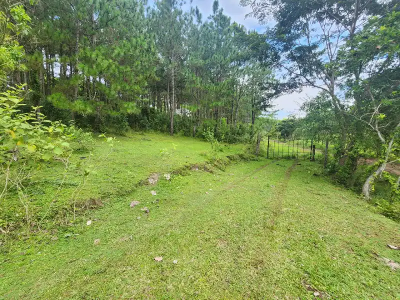 Finca en venta Santa Cruz de Yojoa