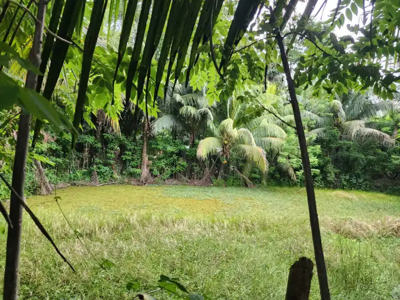 Finca para inversión en Atlántida