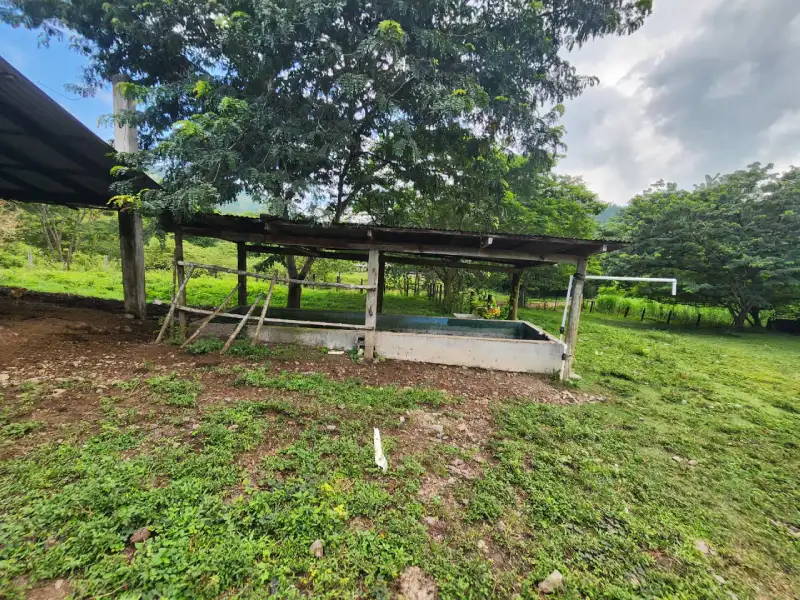 Hacienda en venta Santa Cruz de Yojoa