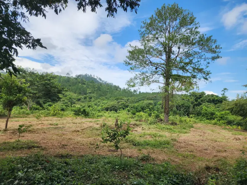 Terreno agrícola en venta Honduras