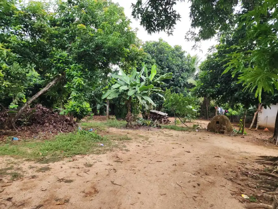 Terreno agrícola en venta en La Masica Atlántida
