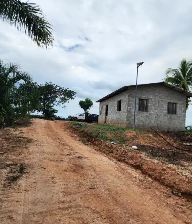 Terreno con palma africana en Arizona Honduras