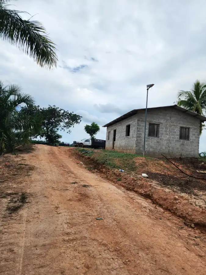 Terreno con palma africana en Arizona Honduras