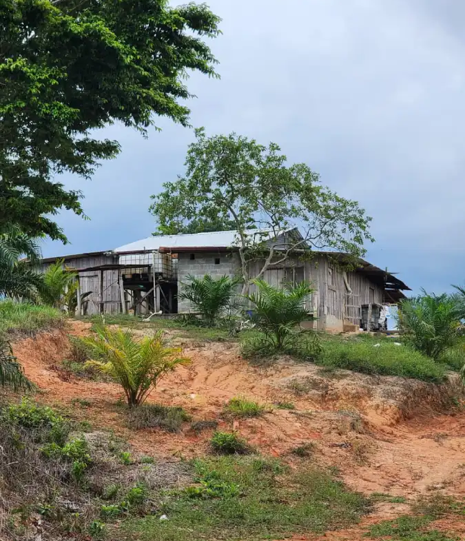 Terreno con plantación de palma africana en venta en Honduras